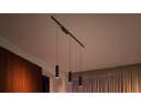 Philips Hue LED Pendelleuchte Perifo Basis-Set, 3 x 5.2 W, Schwarz