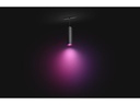 Philips Hue LED Pendelleuchte Perifo Erweiterung, 5.2 W, Schwarz