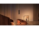 Philips Hue LED Pendelleuchte Perifo Erweiterung, 5.2 W, Schwarz