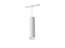 Philips Hue LED Pendelleuchte Perifo Erweiterung, 5.2 W, Weiss