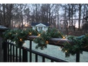 Star Trading LED-Girlande Canadian 2.5 m Grün, 30 LED, Outdoor