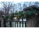 Star Trading LED-Girlande Canadian 2.5 m Grün, 30 LED, Outdoor