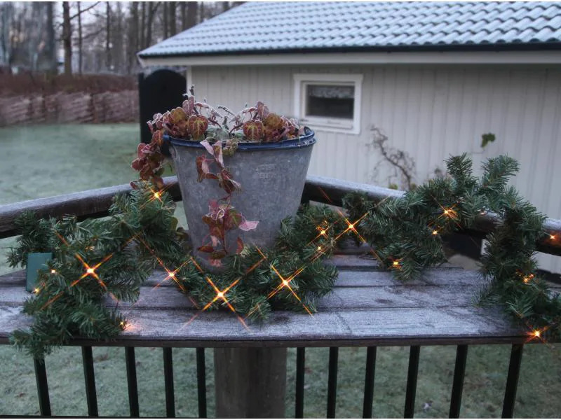 Star Trading LED-Girlande Canadian 2.5 m Grün, 30 LED, Outdoor