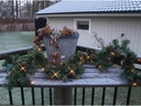 Star Trading LED-Girlande Canadian 2.5 m Grün, 30 LED, Outdoor