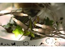 Star Trading LED-Lichterkette 20 LED, 2.85 m, indoor, Transparent