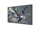 Philips Public Display 43BDL3511Q/00 43
