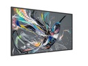 Philips Public Display 50BDL3511Q/00 50