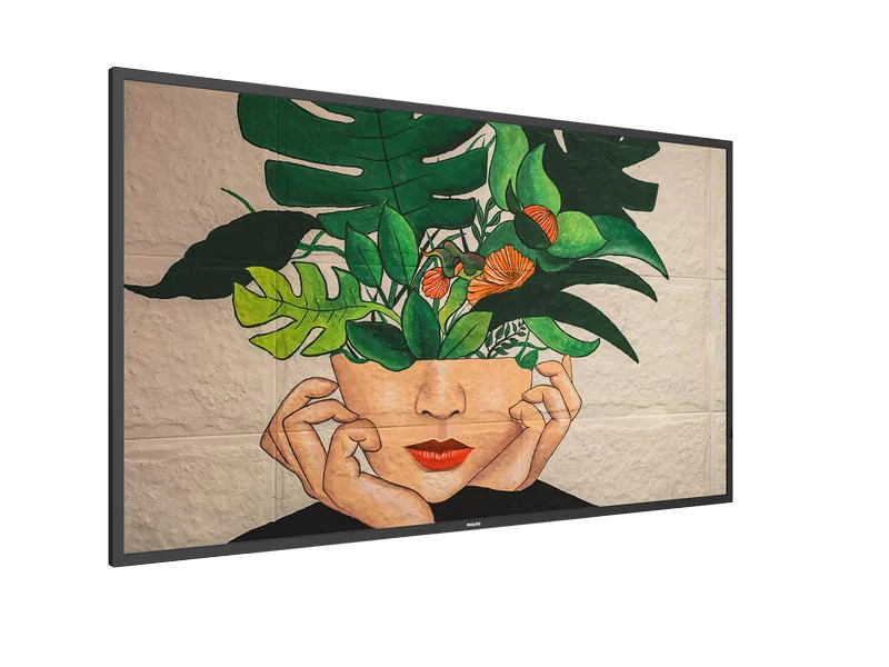 Philips Public Display 50BDL4511D/00 50