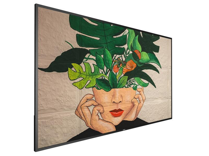 Philips Public Display 65BDL4511D/00 65&quot;