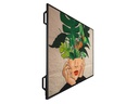 Philips Public Display 65BDL4511D/00 65&quot;