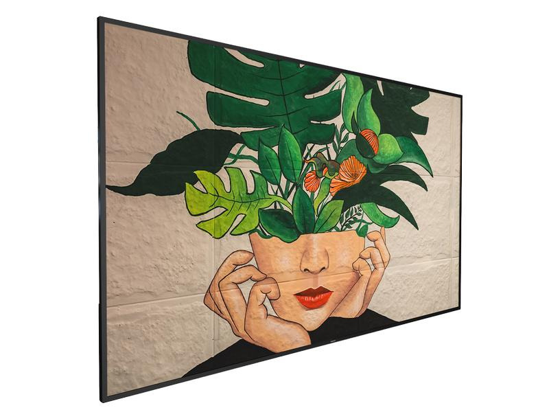 Philips Public Display 86BDL4511D/00 86