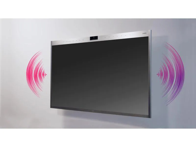 LG Touch Display 55CT5WJ-B In-Cell