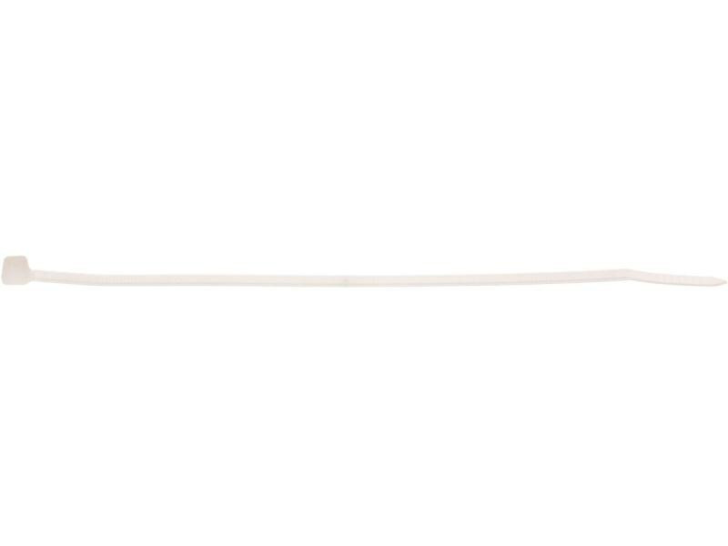 Max Hauri Kabelbinder Nature 100 mm x 2.5 mm