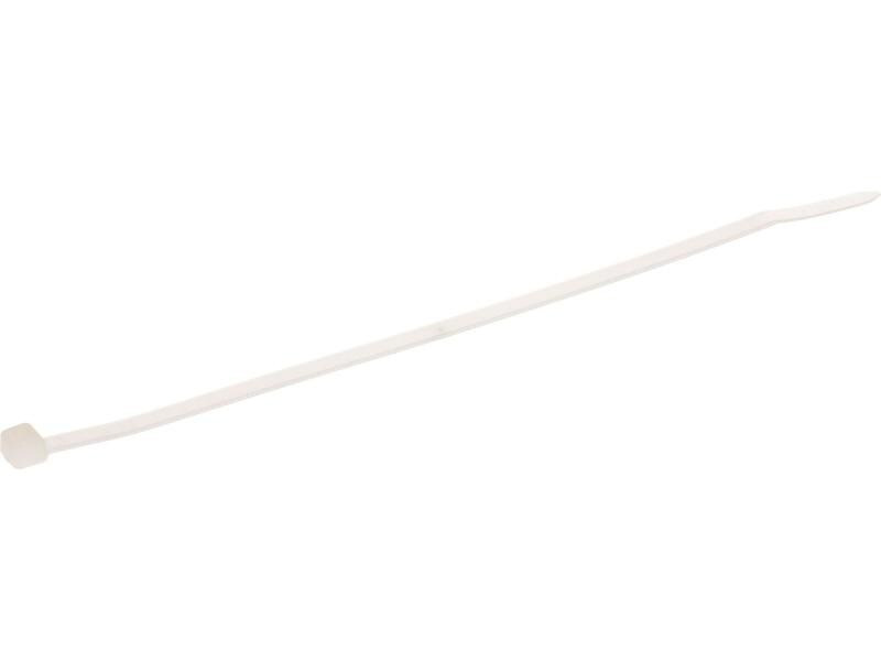 Max Hauri Kabelbinder Nature 100 mm x 2.5 mm