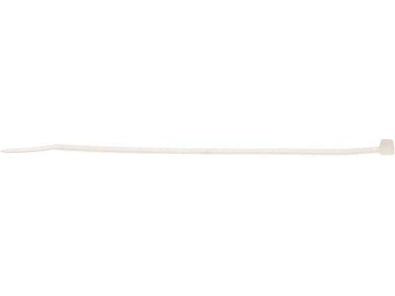 Max Hauri Kabelbinder Nature 100 mm x 2.5 mm