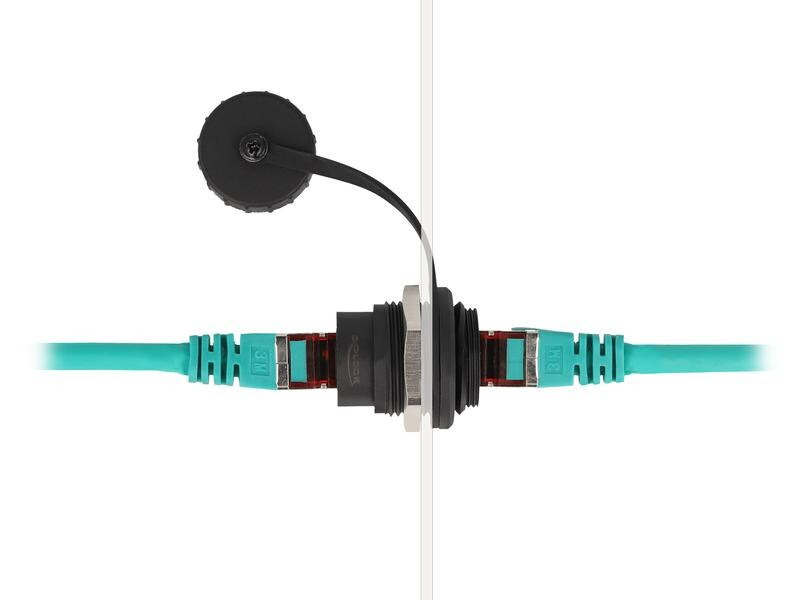 Delock RJ45 Cat.6 Einbaubuchse IP67 staub- &amp; wassserdicht, 1 Stück