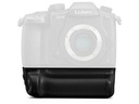 Panasonic Akkugriff DMW-BGGH5E
