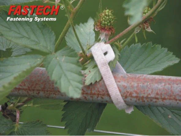 FASTECH Klettkabelbinder ETK-7-2 7 x 200 mm Schwarz, 10 Stück