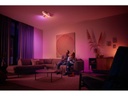 Philips Hue Dimmer Switch V2