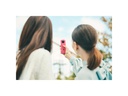 Ricoh 360°-Videokamera THETA SC2 Beige