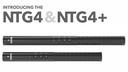Rode Mikrofon NTG-4