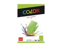 ELCO Kopierpapier Color A4, Grün, 80 g/m², 100 Blatt