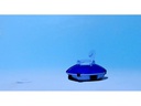 Colibri Poolreinigung Eco Basic