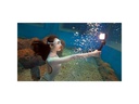 Godox Videoleuchte WL8P