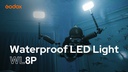 Godox Videoleuchte WL8P