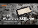 Godox Videoleuchte WL8P
