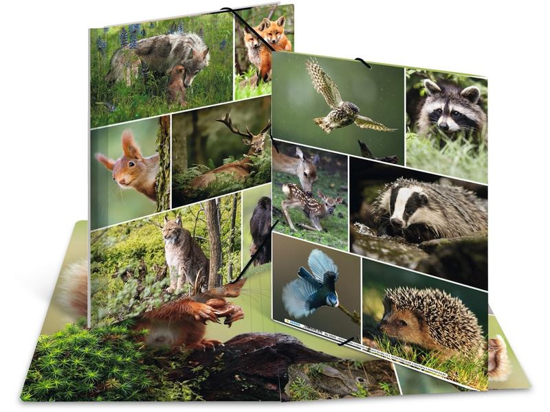 HERMA Gummibandmappe Waldtiere A4, Mehrfarbig