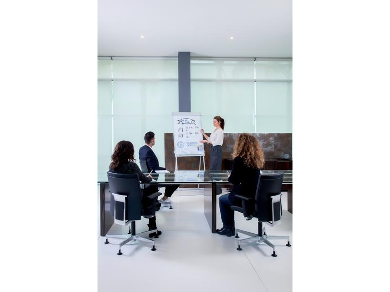 Franken Flipchart Pro Deluxe Standard 67 cm x 95 cm