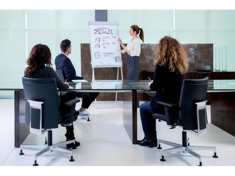 Franken Flipchart Pro Deluxe Standard 67 cm x 95 cm