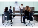 Franken Flipchart Pro Deluxe Standard 67 cm x 95 cm