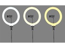 Vonyx Videoleuchte RL25 Ringlicht-Set