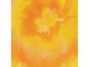Cricut Aufbügelfolie Infusible Ink Watercol 30.5 x 30.5 cm