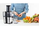 Trisa Entsafter Pure Juice Grau/Silber