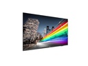 Philips Public Display 65BFL2214/12 65&quot;