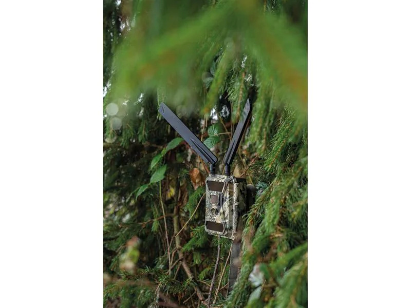 Dörr Kamera Antenne – SnapShot Cloud 4G