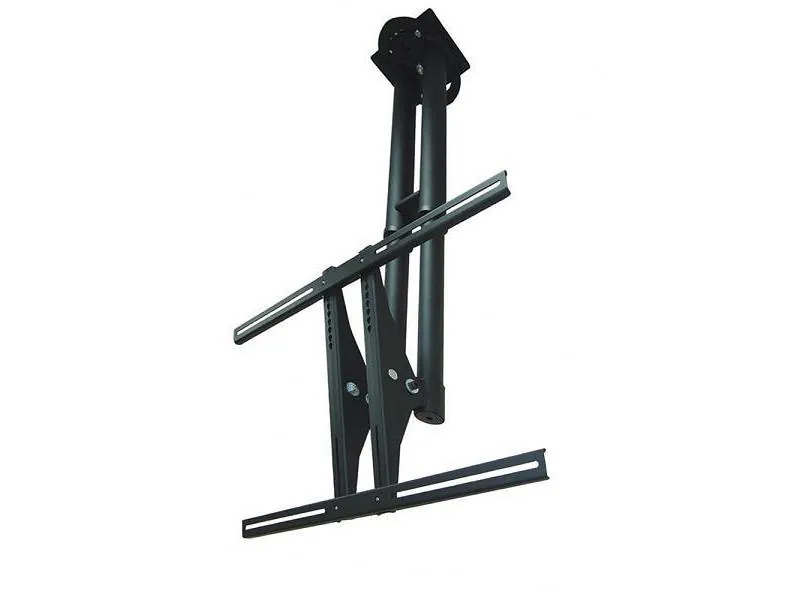 NewStar Deckenhalterung PLASMA-C100