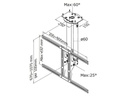 NewStar Deckenhalterung PLASMA-C100