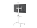 PureMounts TV-Trolley PDS-0003C PureMounts DS, Weiss