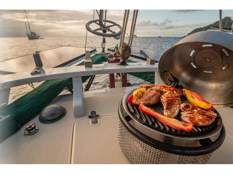 COBB Picknick-Grill Supreme Deluxe 2.0