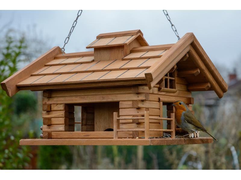 Eric Schweizer Vogelhaus Blüemlisalp