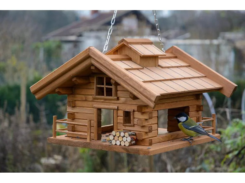 Eric Schweizer Vogelhaus Blüemlisalp