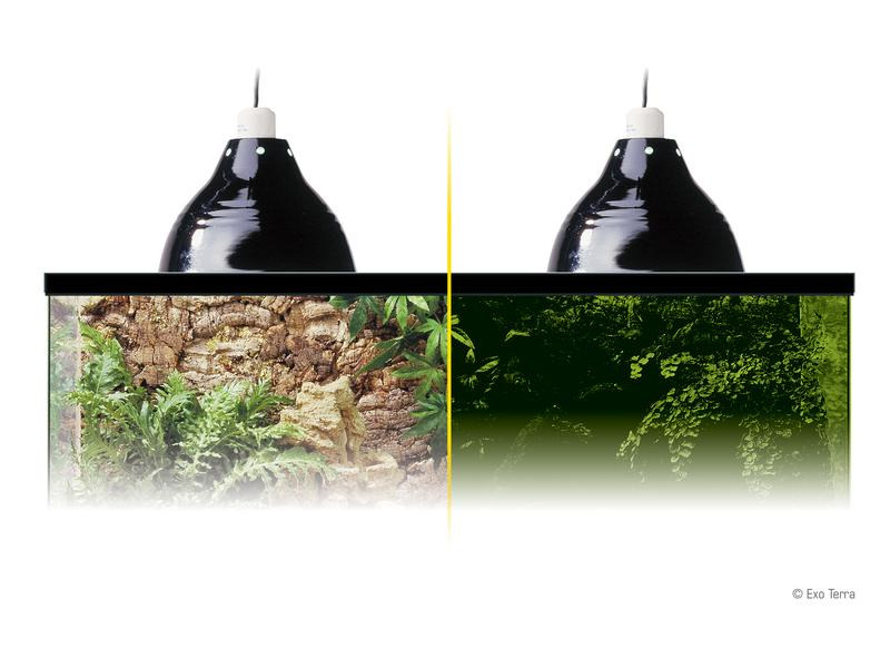 Exo Terra Klemmlampe Glow Light M, Ø 21 cm