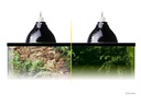 Exo Terra Klemmlampe Glow Light M, Ø 21 cm