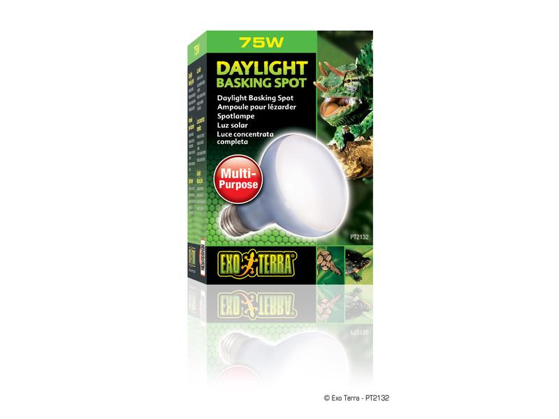 Exo Terra Terrarienlampe Daylight Basking Spot E27, R20/75W