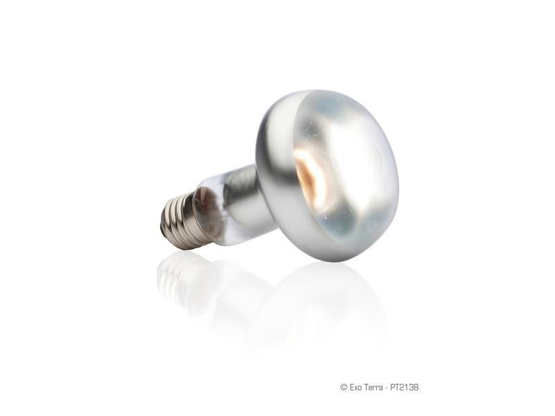 Exo Terra Terrarienlampe Intense Basking Spot E27, R25/100W