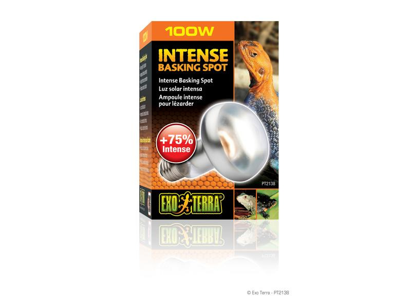 Exo Terra Terrarienlampe Intense Basking Spot E27, R25/100W